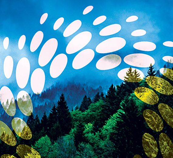 Orange and yellow fire flames